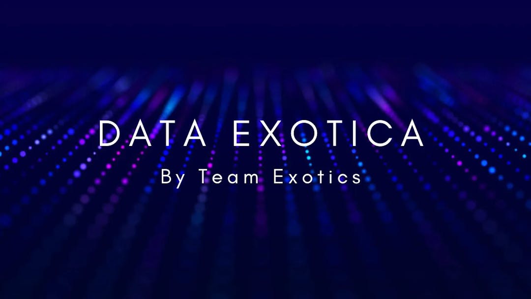 снимка 4 от проект Data Exotica