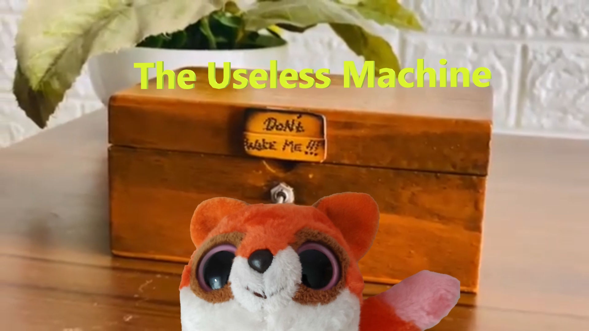 The Useless Machine